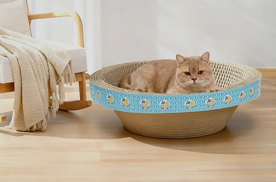 Gato tumbado dentro del rascador en el salón